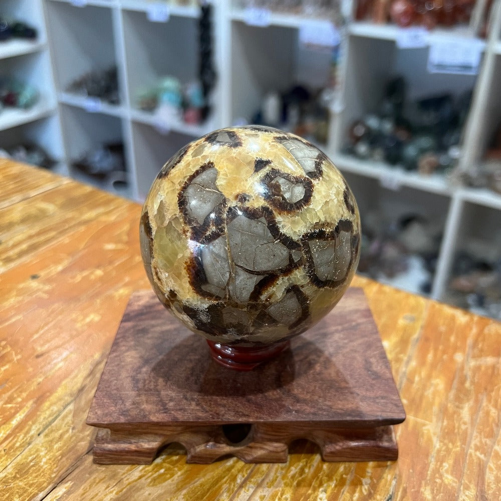 Septarian Sphere