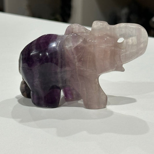Fluorite Elephant | 274g