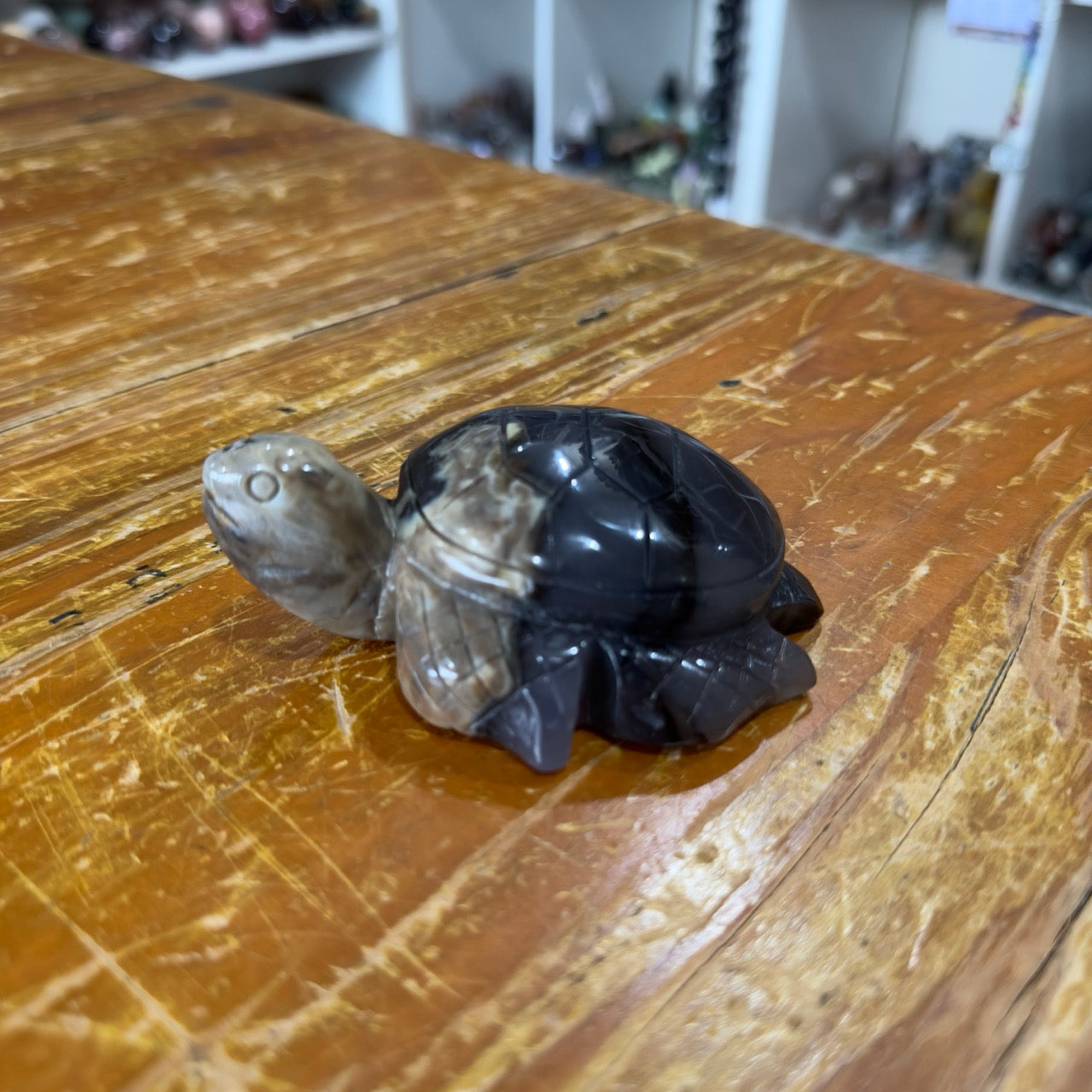 Volcanic Agate Turtle | 222g