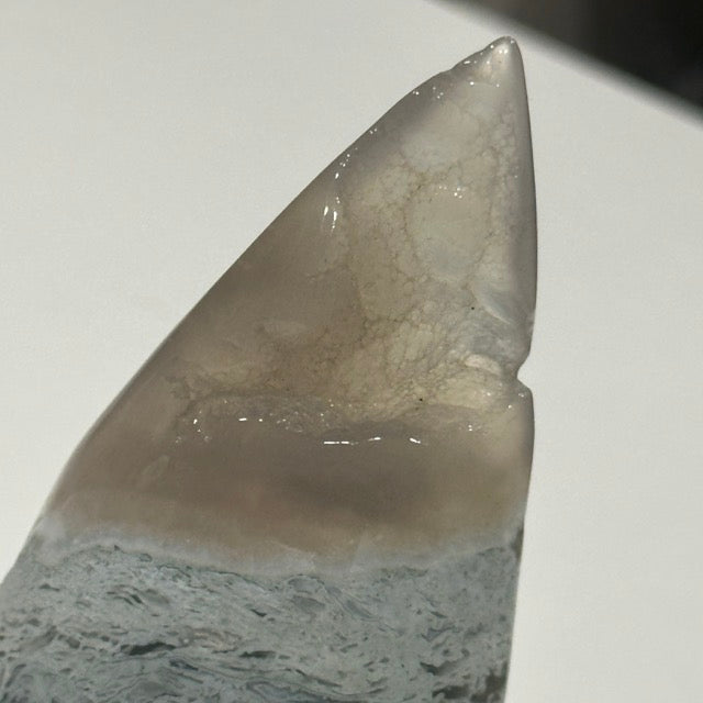 Moss Agate Teardrop | 178g