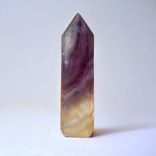 Fluorite Tower | 621g