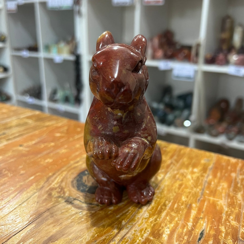 Ocean Jasper Squirrel
