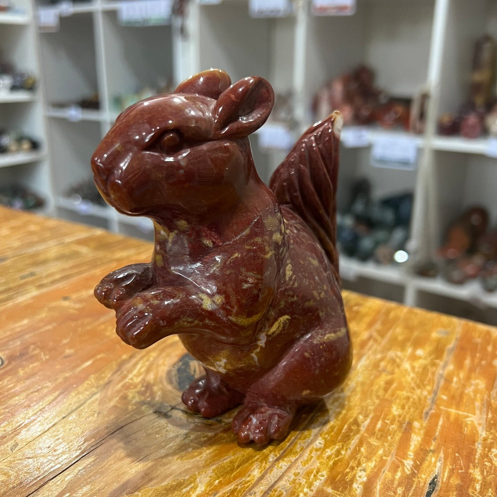 Ocean Jasper Squirrel