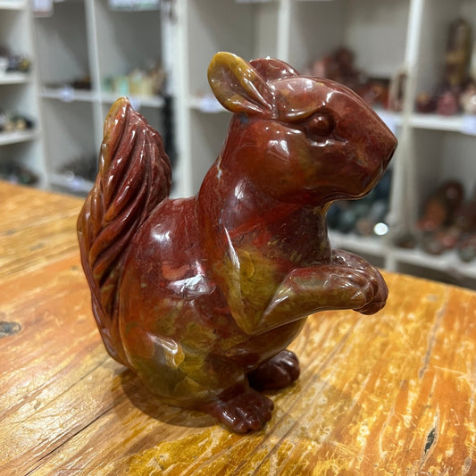 Ocean Jasper Squirrel
