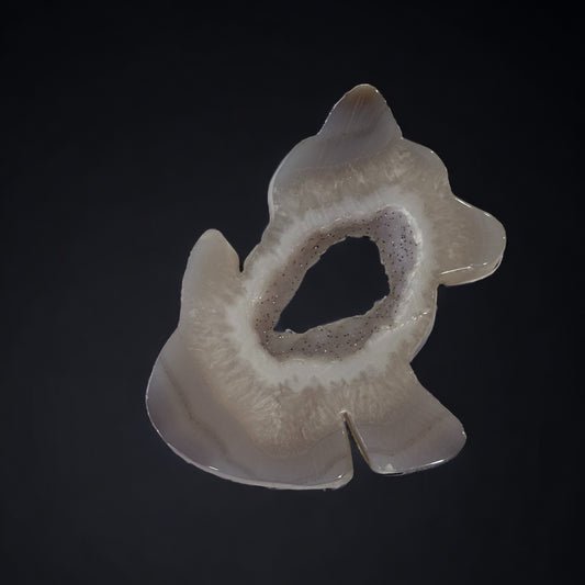 Druzy Agate Dog | 273g