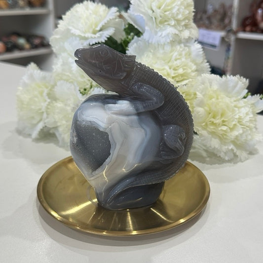 Druzy Agate Lizard | 807g