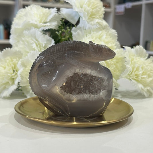 Druzy Agate Lizard | 506g