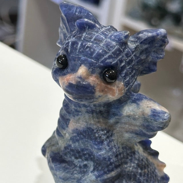 Sodalite Dragon