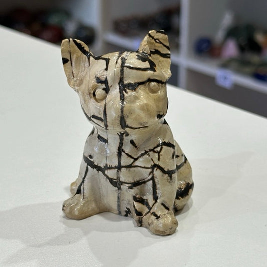 Picture Jasper French Bulldog