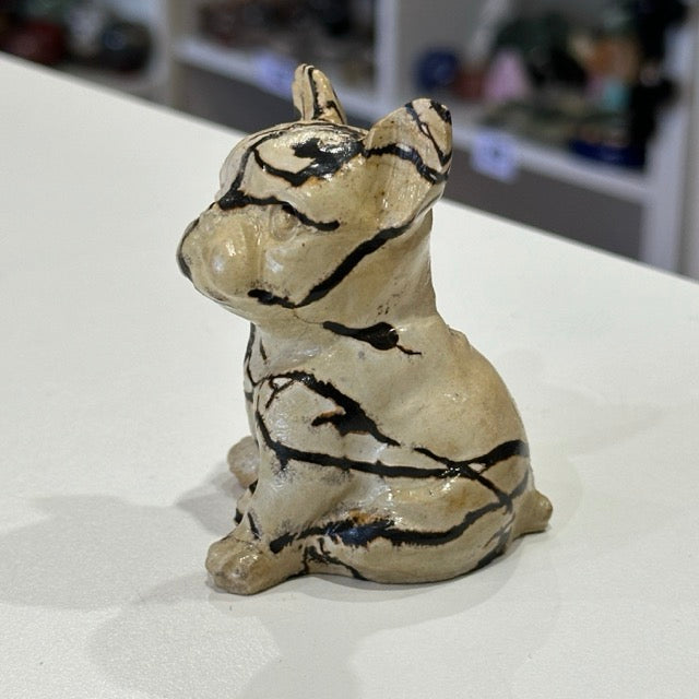 Picture Jasper French Bulldog