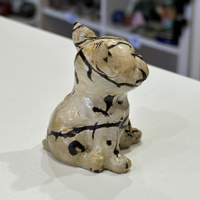 Picture Jasper French Bulldog