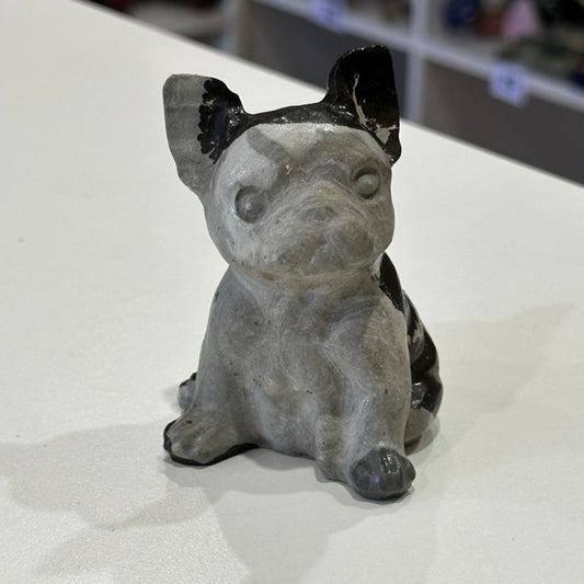 Picture Jasper French Bulldog