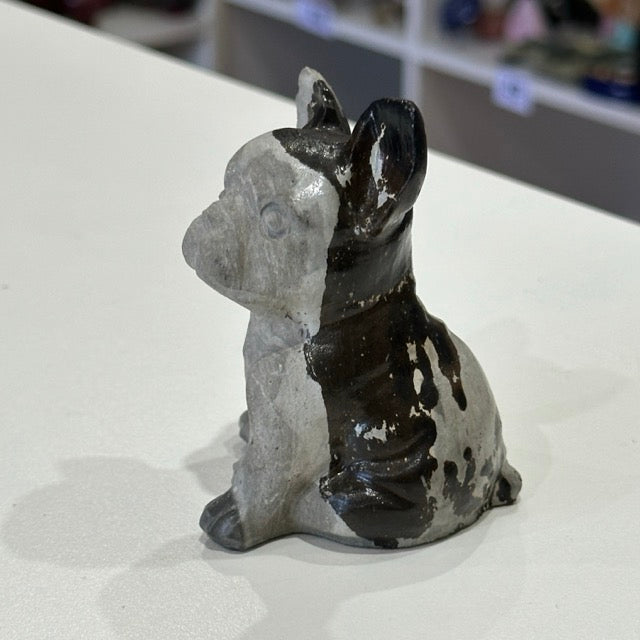 Picture Jasper French Bulldog