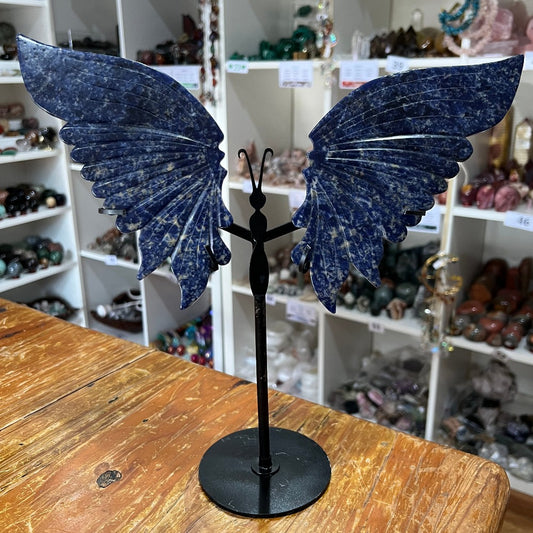 Sodalite Butterfly Wings with Stand