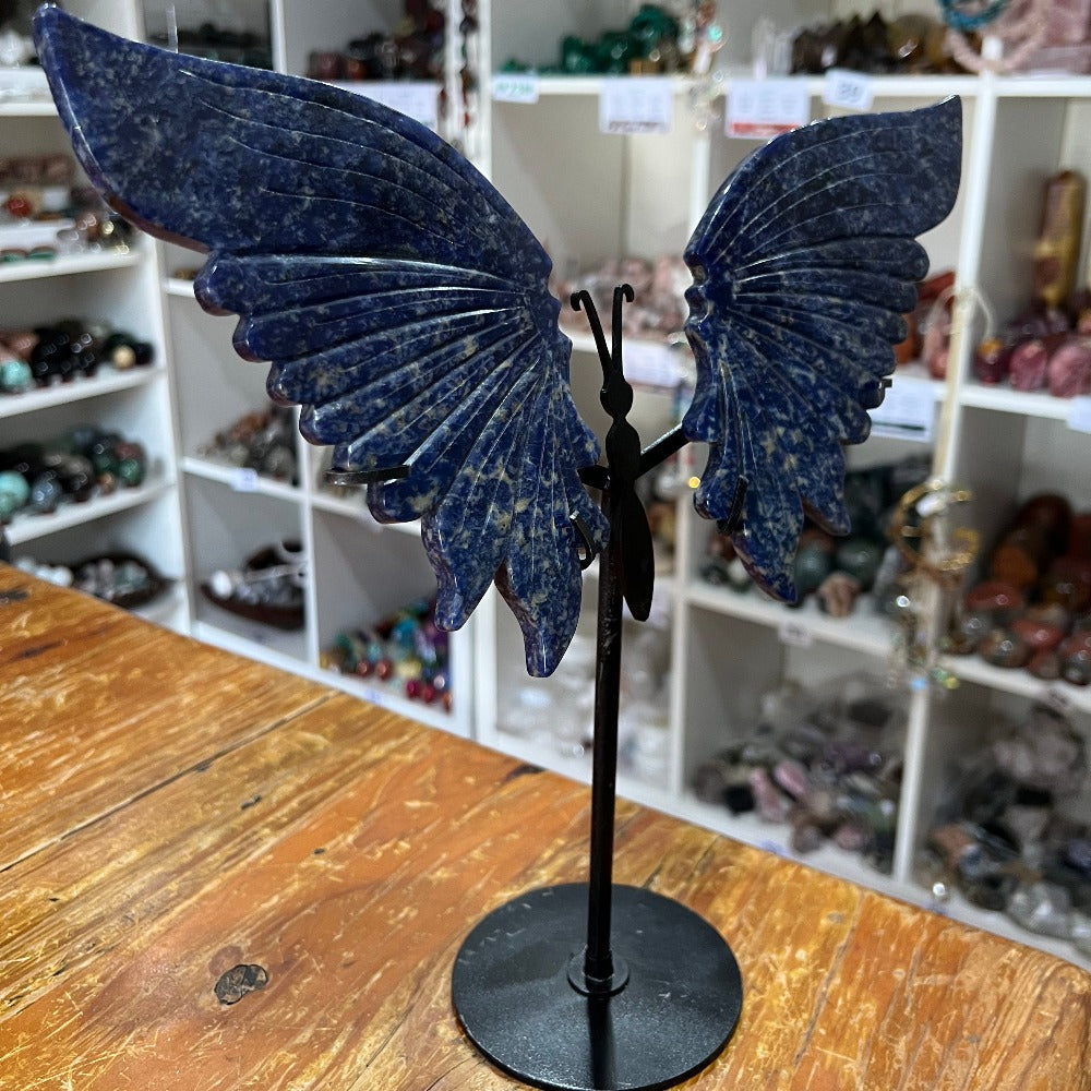 Sodalite Butterfly Wings with Stand