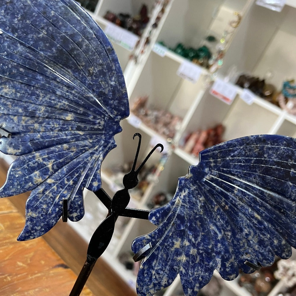 Sodalite Butterfly Wings with Stand