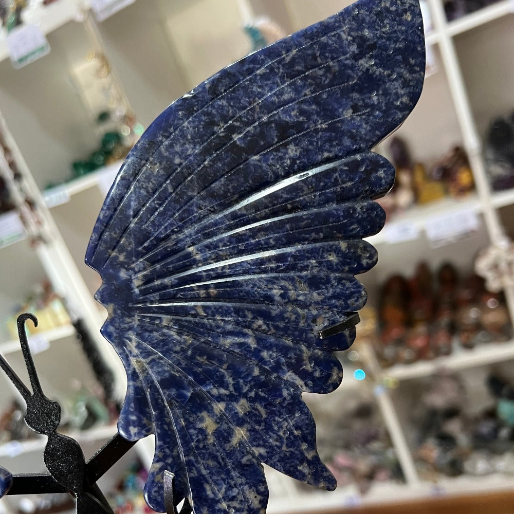 Sodalite Butterfly Wings with Stand