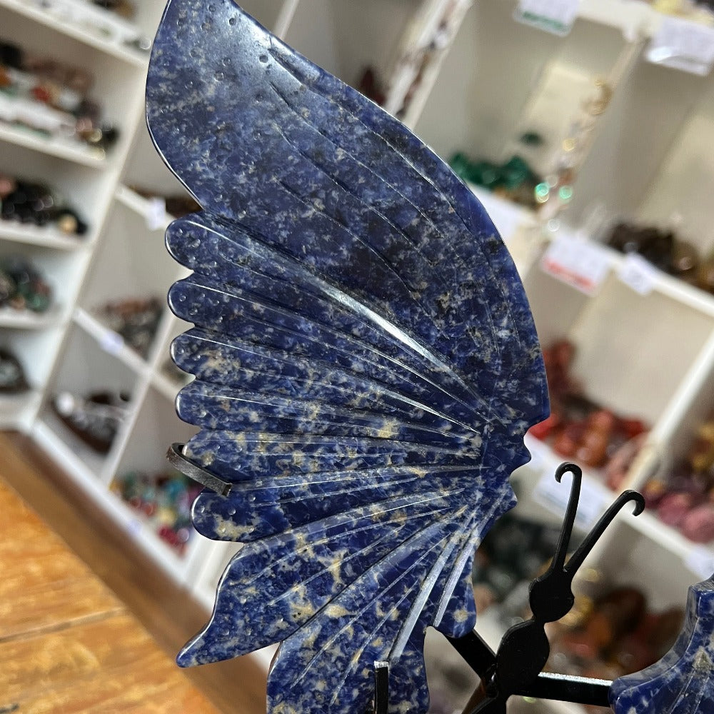 Sodalite Butterfly Wings with Stand