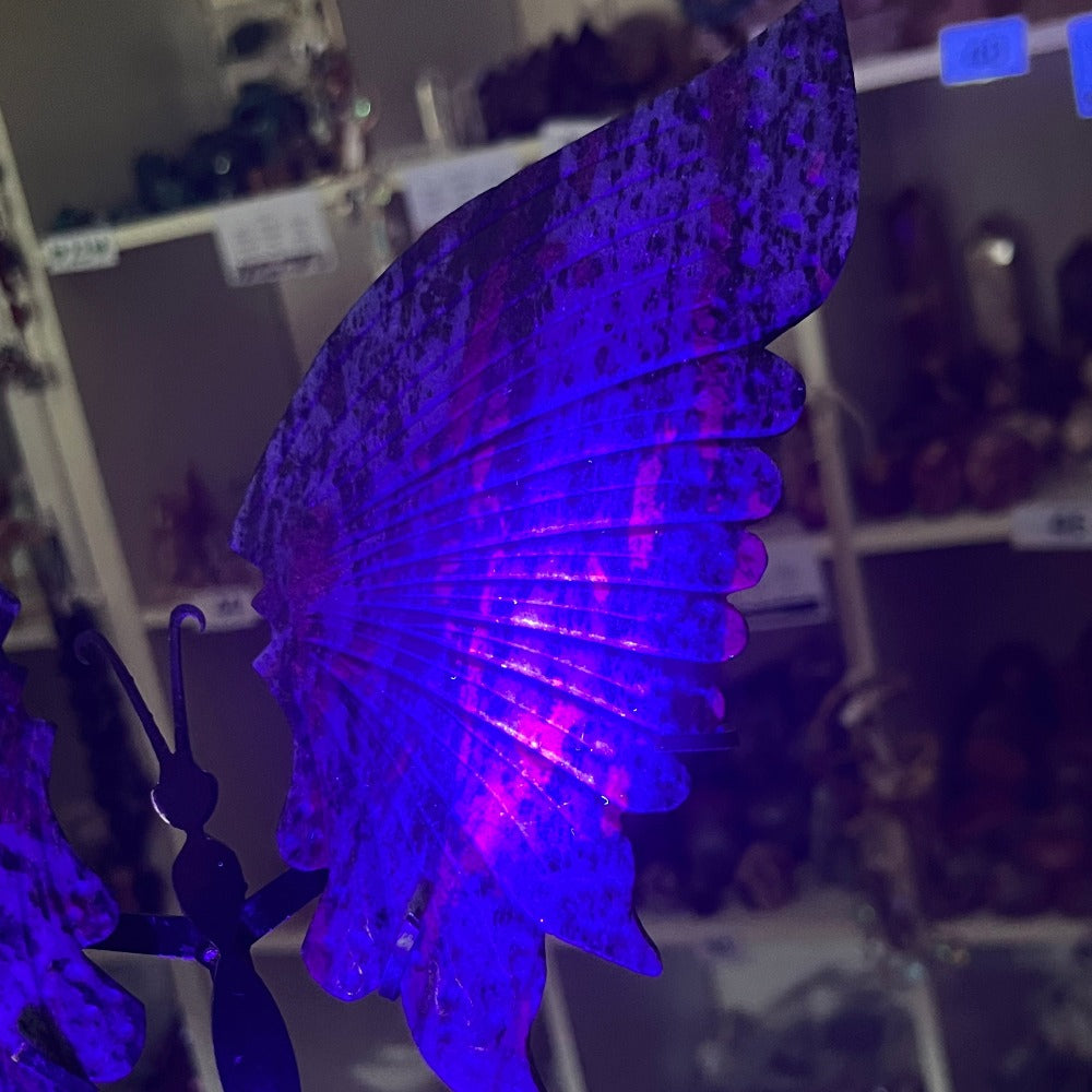 Ruby Zoisite Butterfly Wings with Stand