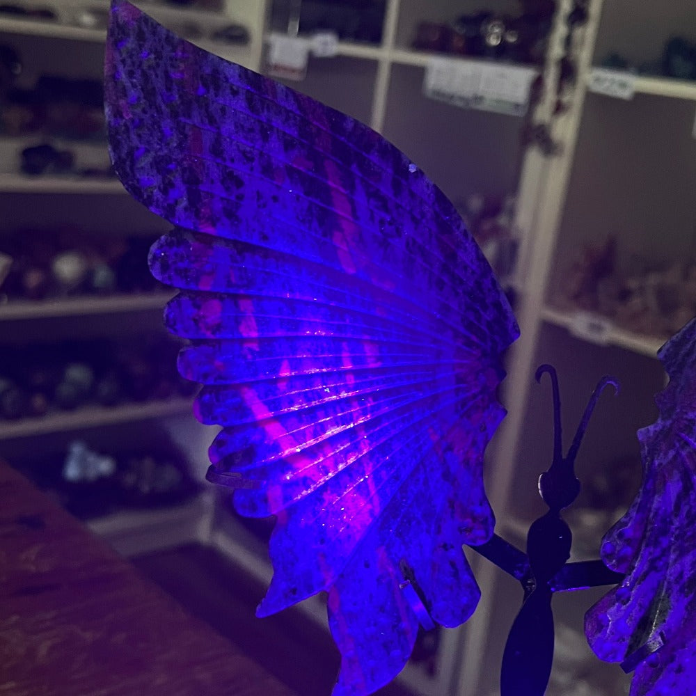 Ruby Zoisite Butterfly Wings with Stand