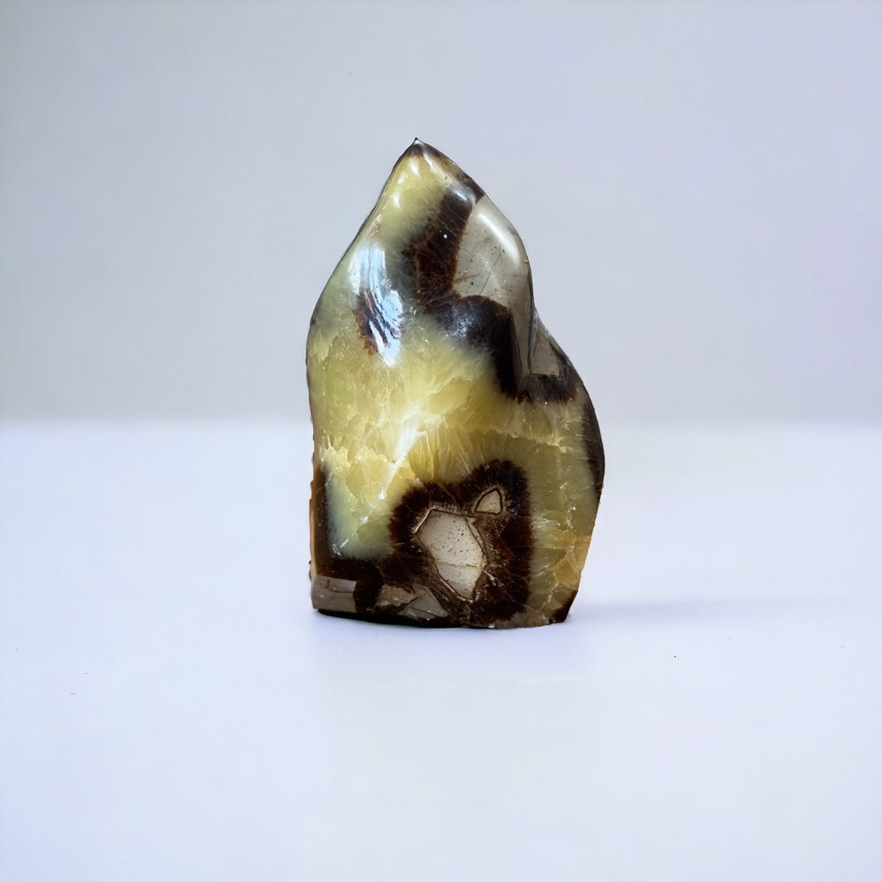 Septarian Flame | 253g