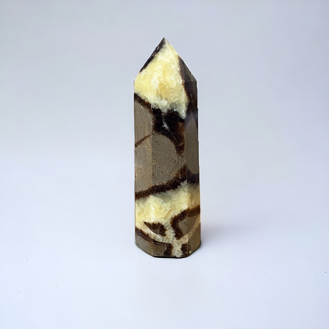 Septarian Point