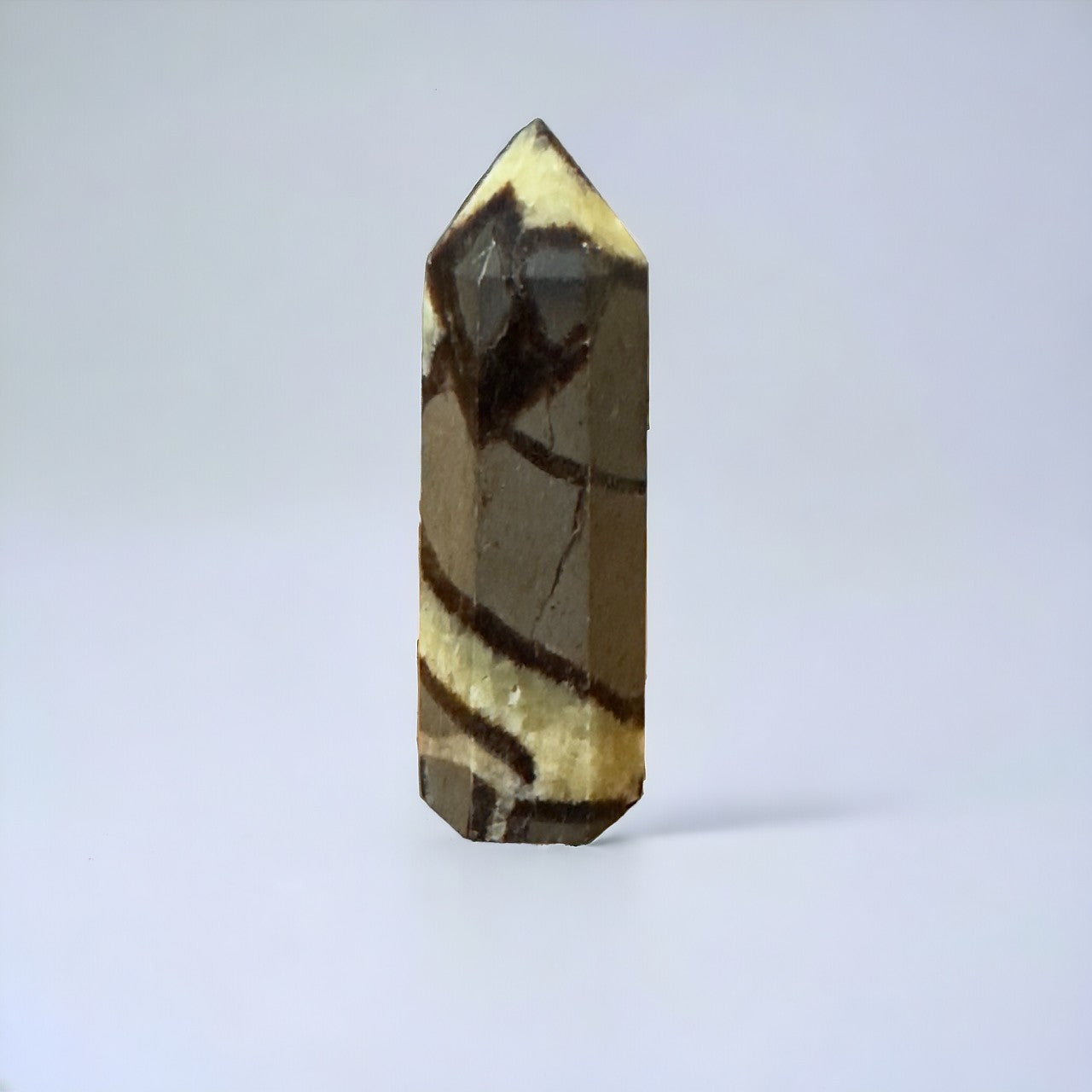 Septarian Point