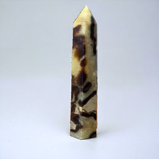 Septarian Point