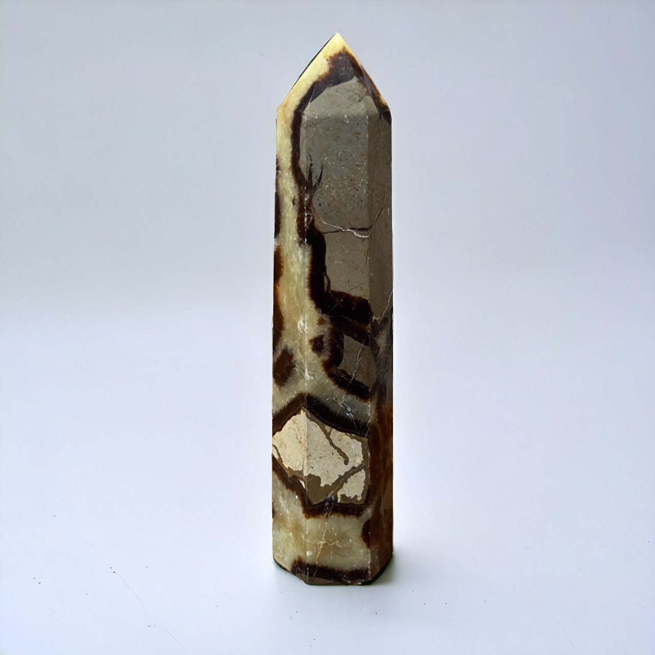 Septarian Point