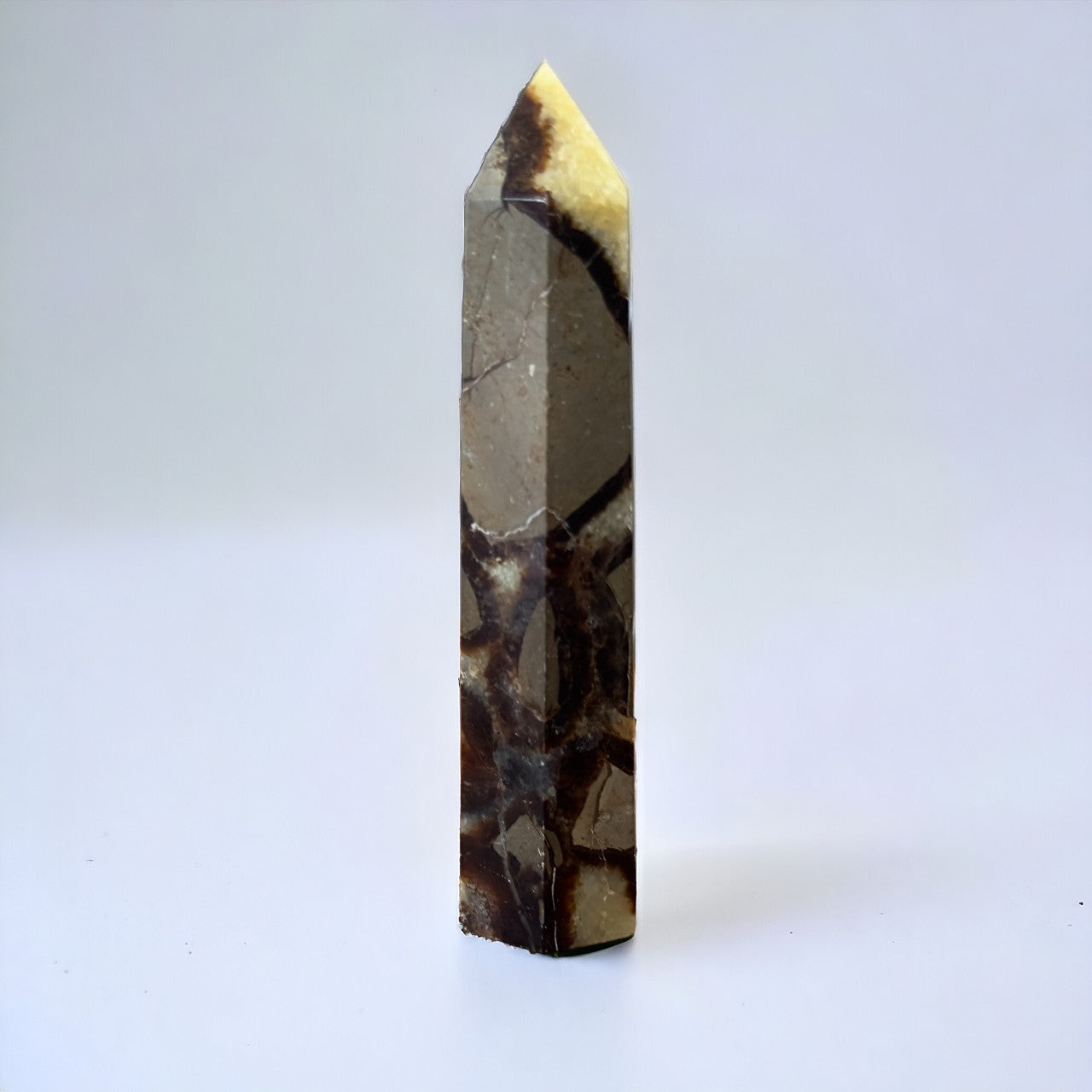 Septarian Point