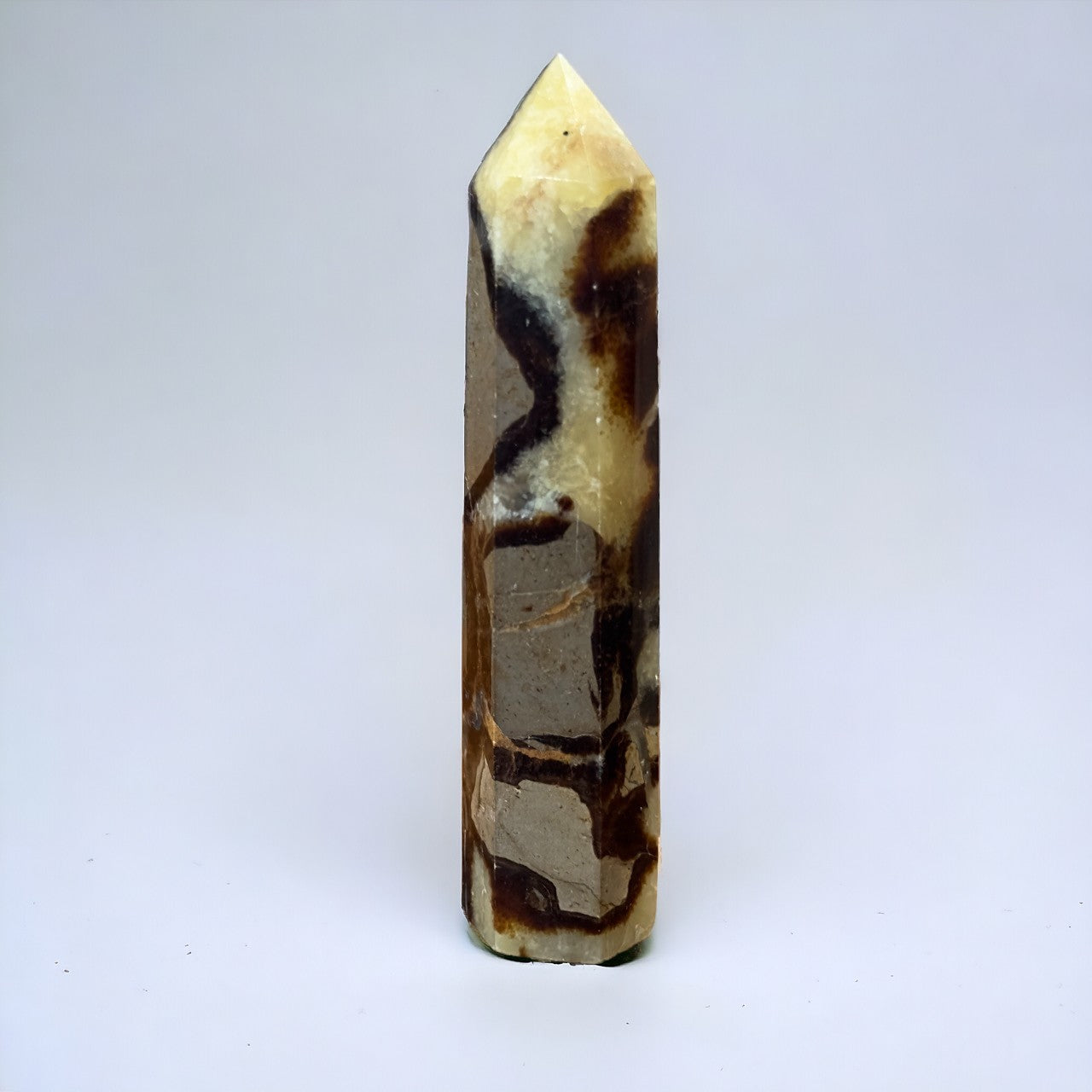 Septarian Point