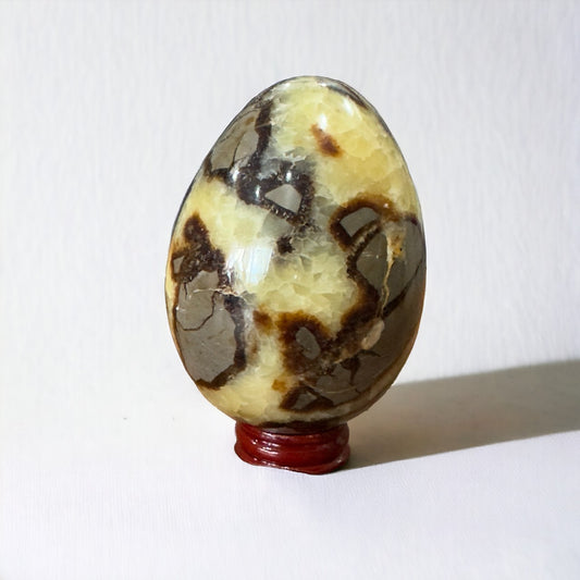 Septarian Egg | 775g