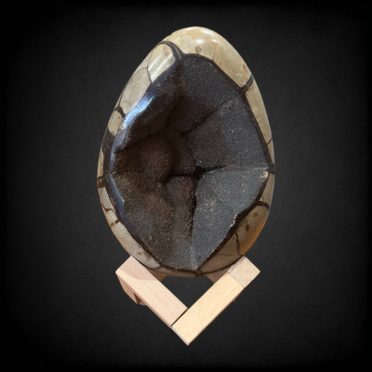 Septarian Egg | Geode Druzy