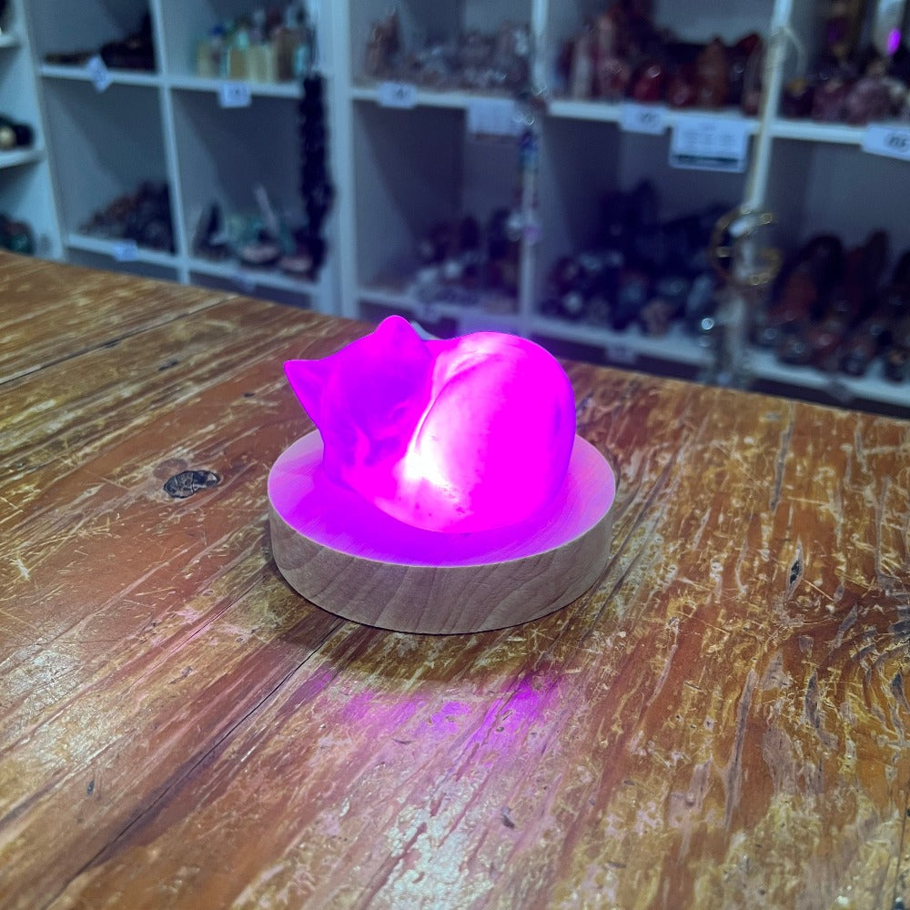 Light Base - Single Multi-Colour Light