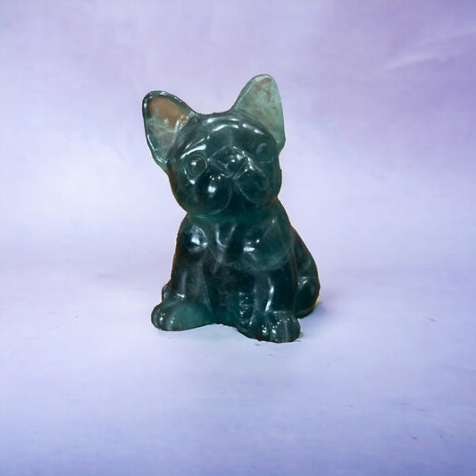 Fluorite French Bulldog